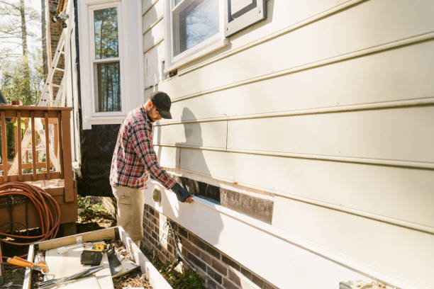 Top rated local Siding Replacement specialists in Land O'Lakes, FL